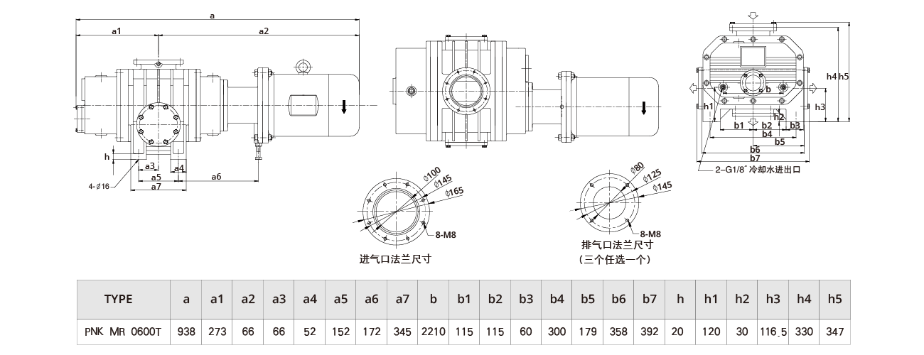 PNK MR 0600T羅茨（cí）真（zhēn）空泵