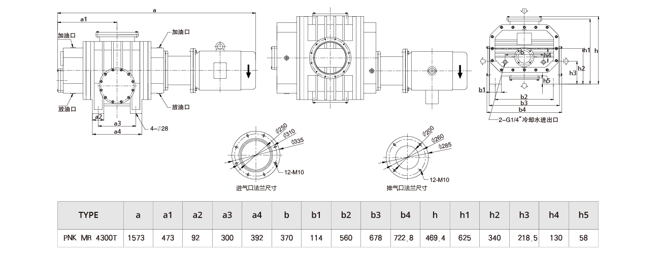 PNK MR 4300T羅茨真（zhēn）空泵