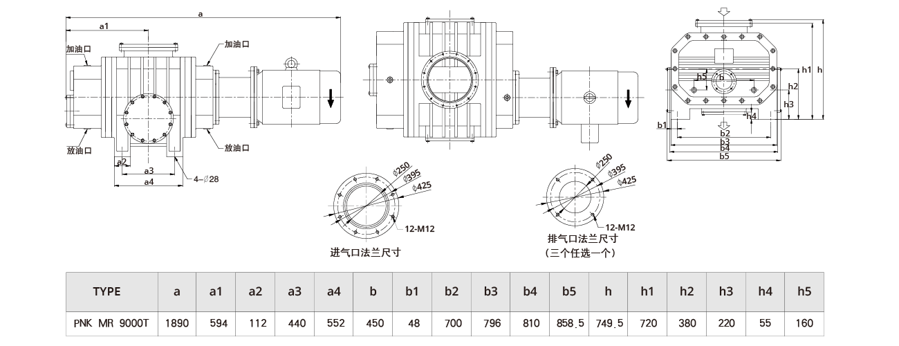 PNK MR 9000T羅茨真空泵（bèng）