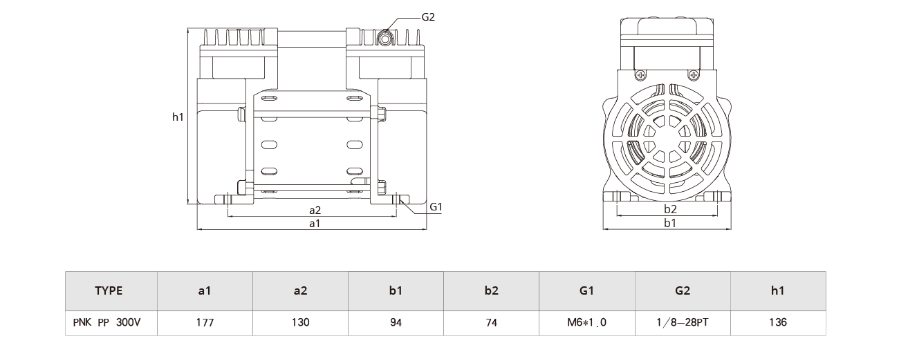 PNK PP 300V活塞真空（kōng）泵.png